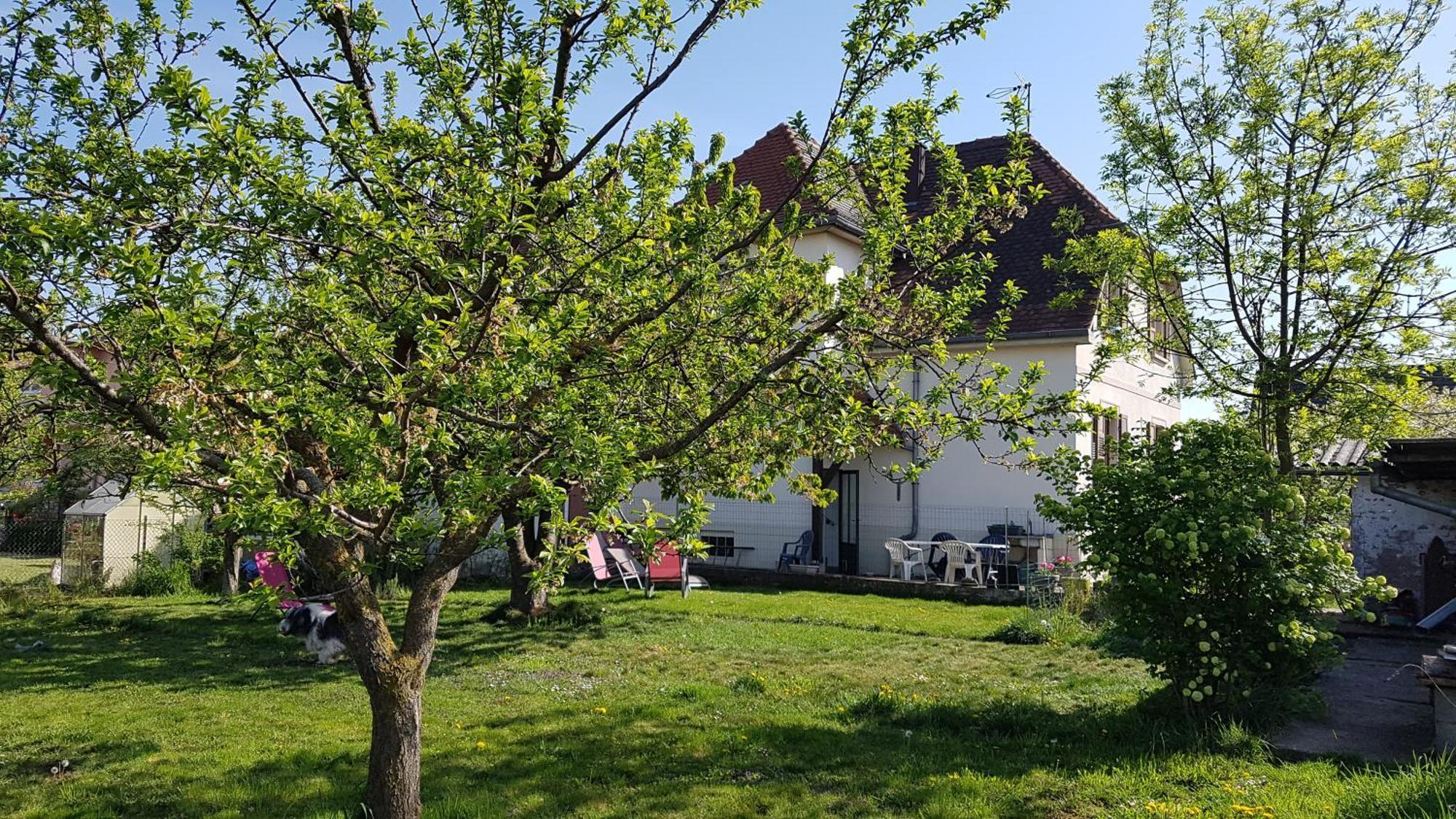 Maison Les 3 Roses Wolfisheim Exterior foto